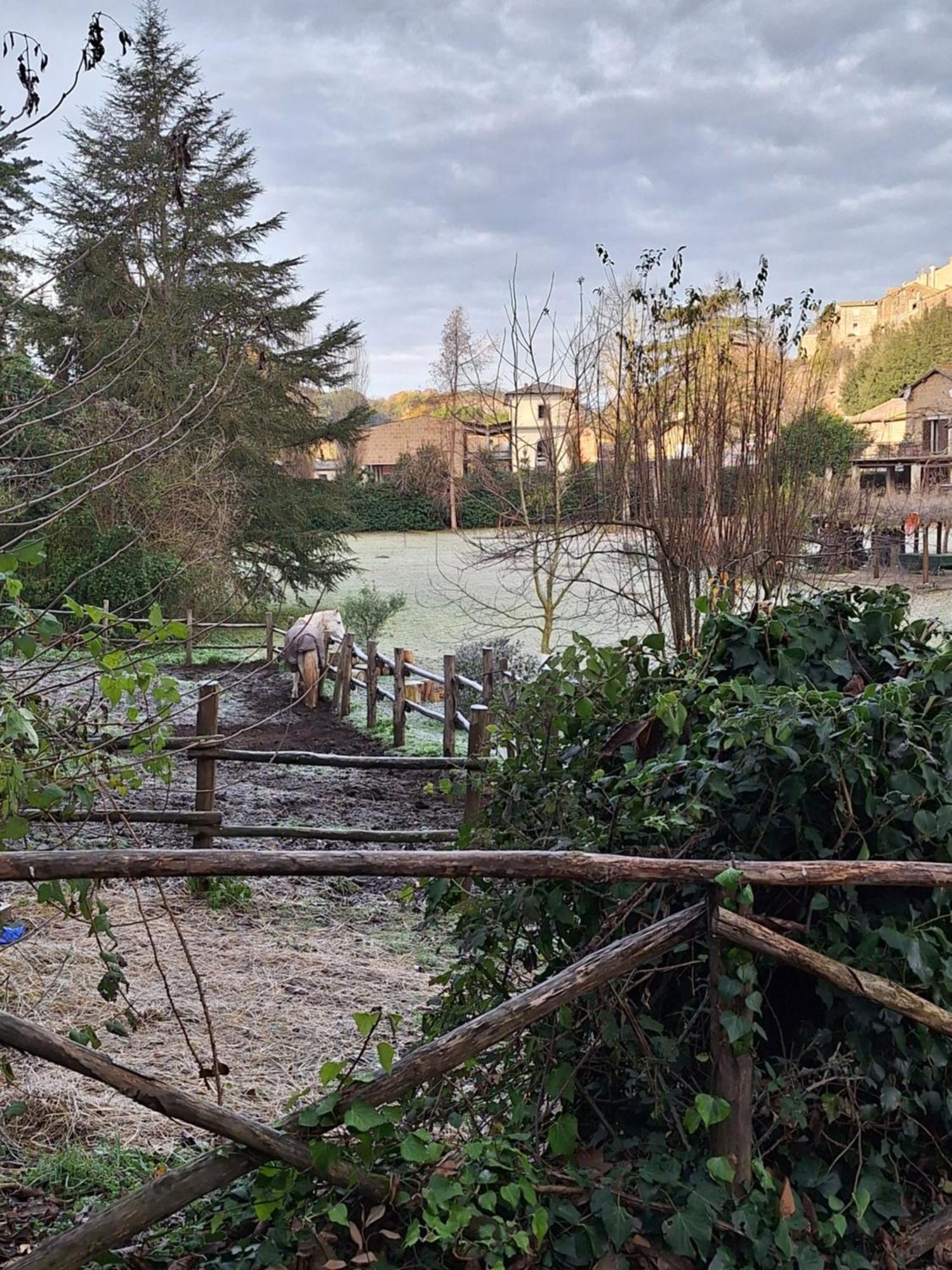 Hotel Radici Etrusche Sutri Zewnętrze zdjęcie